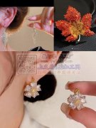 寻求胸花耳钉等精美饰品