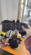 寻会做云朵弹簧夹的加工厂 如图。我们在廿