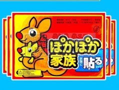 出一批袋鼠暖贴&nbsp;今年新货有12