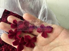 专业植绒&nbsp;&nbsp;洒金粉&