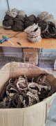 本厂承接各种手工加工，有场地，有自己工人