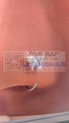 如图鼻钉需要做，寻找鼻钉生产工厂合作，