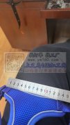 宠物胸背配件