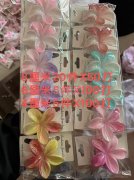大量需要求购如图所示这个鸡蛋花现货，