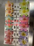 大量需要求购如图所示这个鸡蛋花现货，
