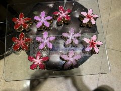 《&nbsp;专业烤漆➕滴油加工&nbs