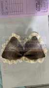 平车 充棉 扎结 包腰外发，​找专业平车加工厂，