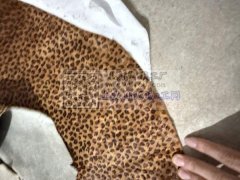大量求购如图真马毛！价优的速度联系我