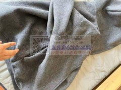 卫衣和夹克数量首批各3000 纯加工