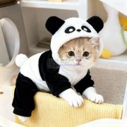 找宠物衣服加工厂 要有后道 打扣机