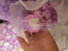 专业钩织团队，承接花头，挂件，手套，耳坠
