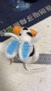 需求如图所示这个产品，寻求生产工厂合作
