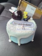 采购小蛋糕模型，一次1万左右