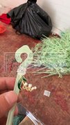 承接打胶枪，弯针挂圈，包装等手工活