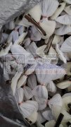承接各种手工加工，挂圈，包装，弯针，组装