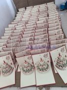 专业承担；打胶枪，布包夹子，粘胶，打蝴蝶